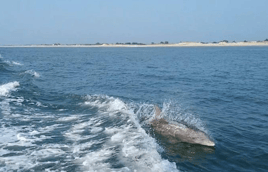 Sunset Along The Delaware Shore