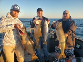 Salmon & Trout Fishing (Mon - Thu)