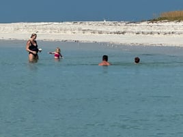 Beach,Sandbar,Shelling,Restaurants