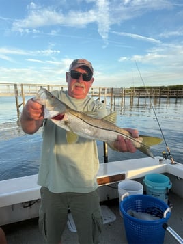 Inshore Fishing Trip