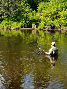 Connecticut River Wade Trips