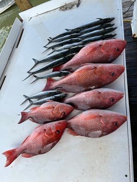 3 Hour Inshore Trip