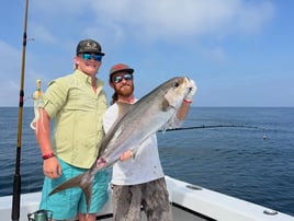 Extended Bottom Fishing