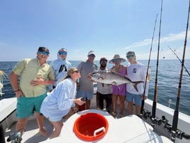 Extended Offshore Experience