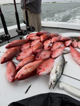 Extended Offshore Experience