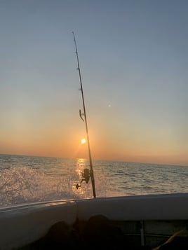 Cape Cod Sunset Trip