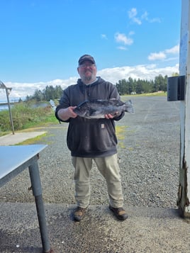 Ling Cod And Bottom Fishing 