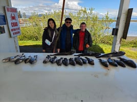 Ling Cod And Bottom Fishing 