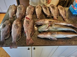 Ling Cod And Bottom Fishing 