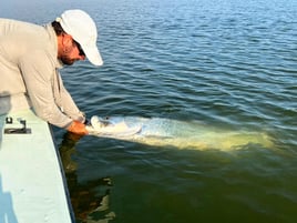 Inshore Fishing Trip