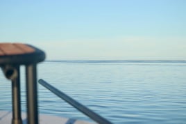 SWFL Fly Fishing