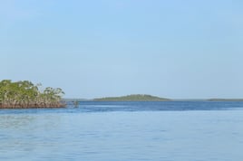 SWFL Fly Fishing