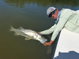 SWFL Fly Fishing