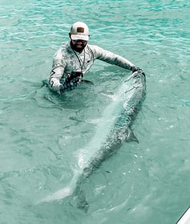 Tarpon Fishing