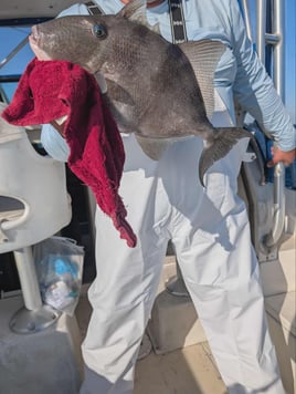 5 Hour Nearshore Charter