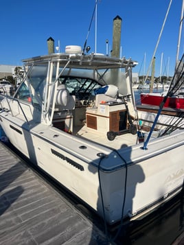 5 Hour Nearshore Charter