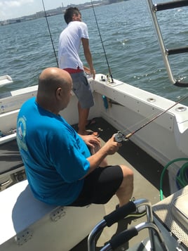 12 Hour Gulfstream Bottom Fishing