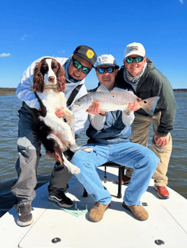 Inshore Sight Fishing