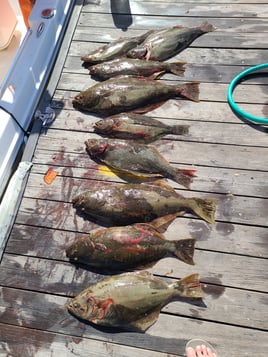 Sunrise Fishing Trip For Up To 6 