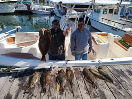 Sunrise Fishing Trip For Up To 6 