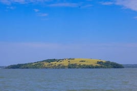 Lake Victoria Boat Safari