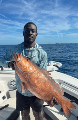 Fishing, Cook Your Catch