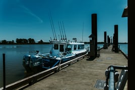 Salmon Fishing