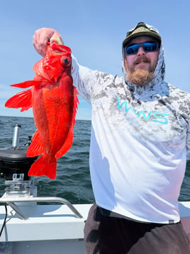 Bottom Fishing