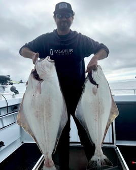 Bottom Fishing