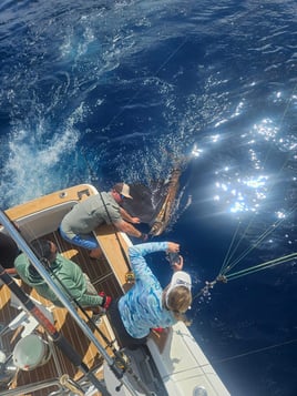 Sport Fishing Trip