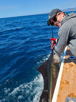 Sport Fishing Trip