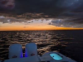 Sandbar Excursions 