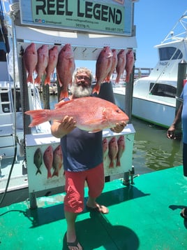 6 Hour Snapper Frenzy