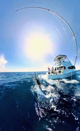 Offshore Fishing Trips