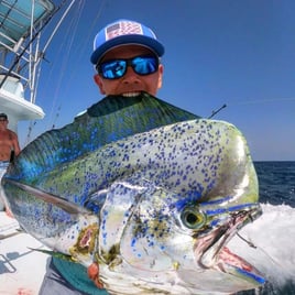 Offshore Fishing Trips
