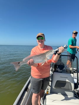 Experience The Everglades