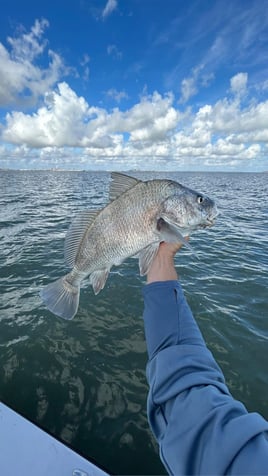4-8 Hour Inshore Trip