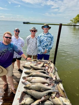 Half Or Full Day Trip