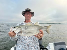Half Or Full Day Trip