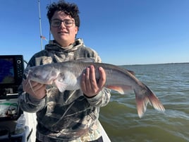 Half Or Full Day Trip
