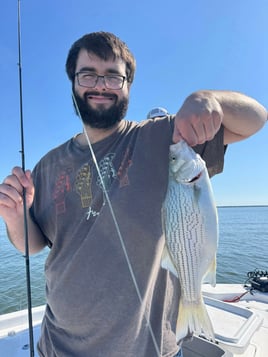 Half Or Full Day Trip
