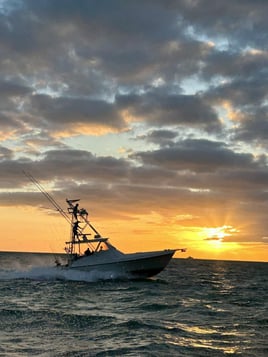 Swordfish Charter - 42' Liberty