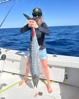 Offshore - Mahi-mahi, Tuna, Wahoo
