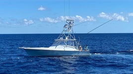 Offshore - Mahi-mahi, Tuna, Wahoo