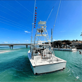 4-8 Hour Offshore - 42' Liberty