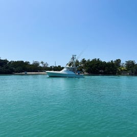4-8 Hour Offshore - 42' Liberty
