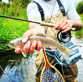 Fly Fishing Trip