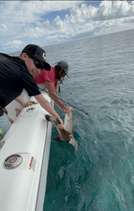 3-4 Hour Reef Fishing Trip
