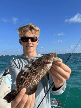 3-4 Hour Reef Fishing Trip