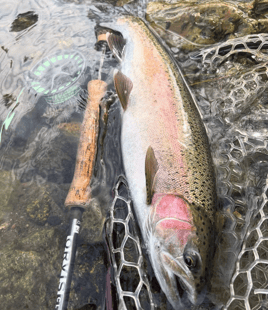 Trinity River Fishing